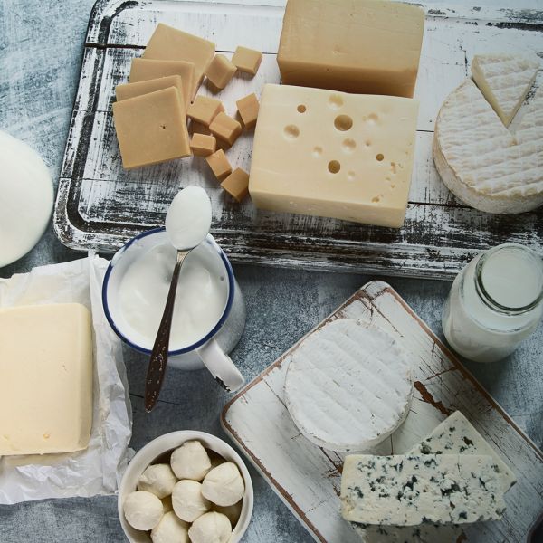 Dairy Rotary Valve Solutions