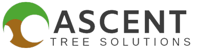 Ascent Tree Solutions LTD