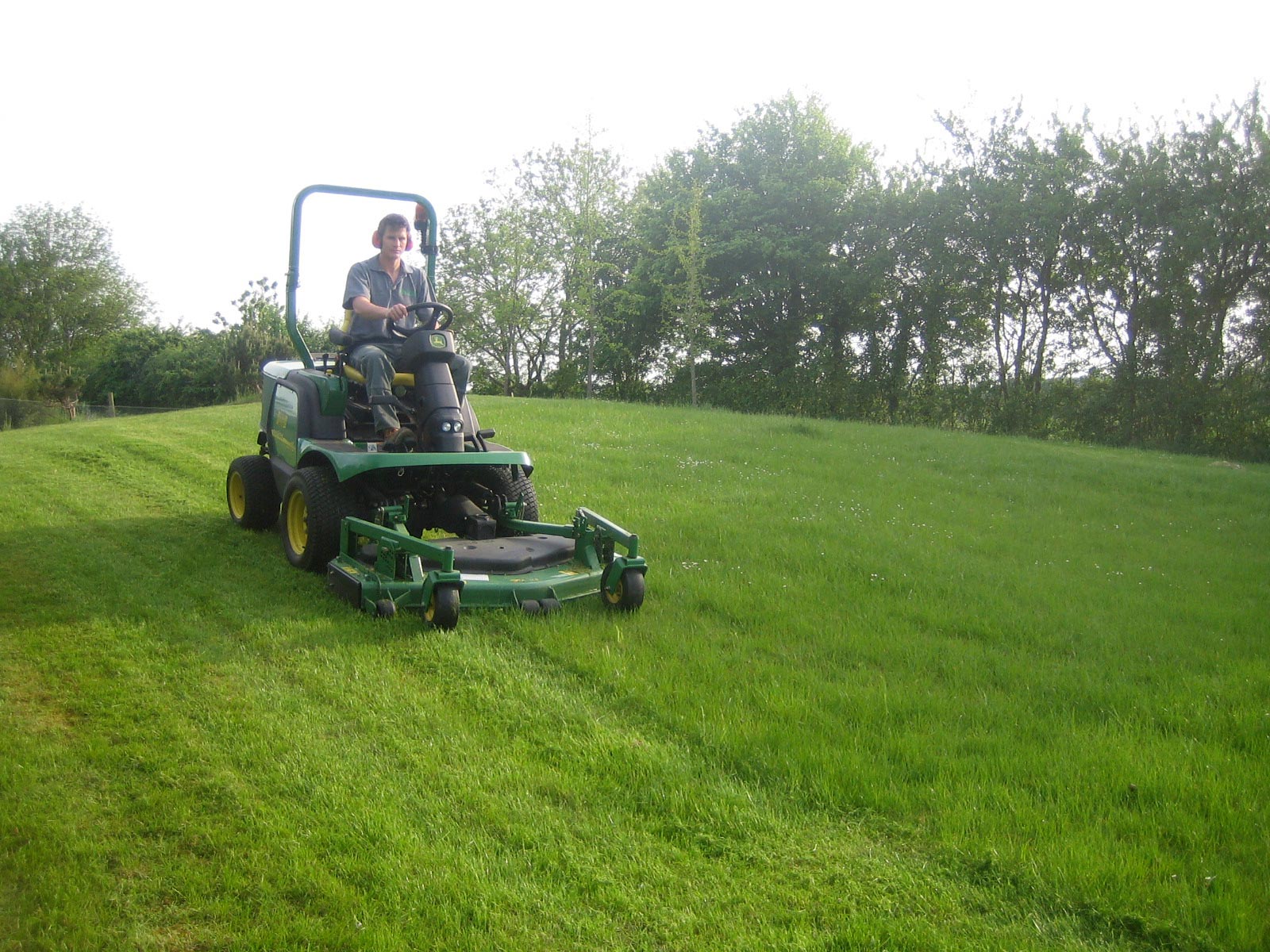 Grass Scarification Service