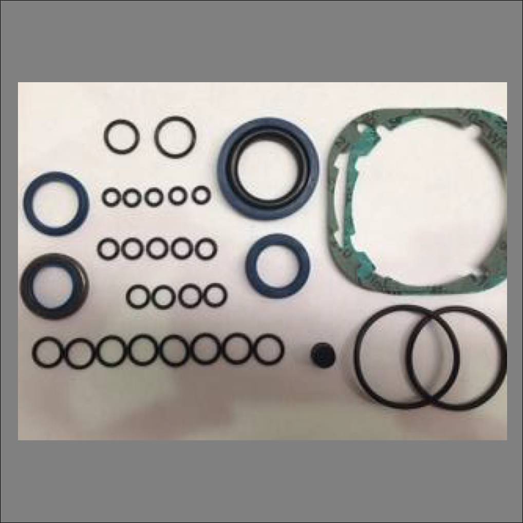 BFT ZZLUX76 Seal & Gasket Kit For One LUX 230v Motor