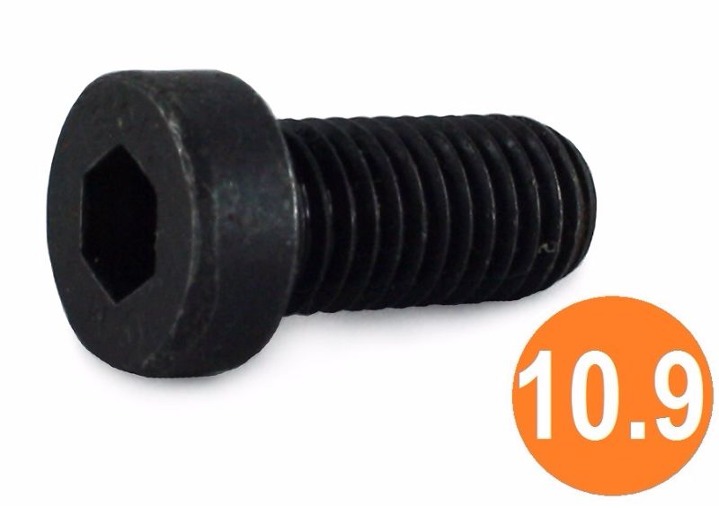 M8x20 Low Head Socket Cap Screw S/COL