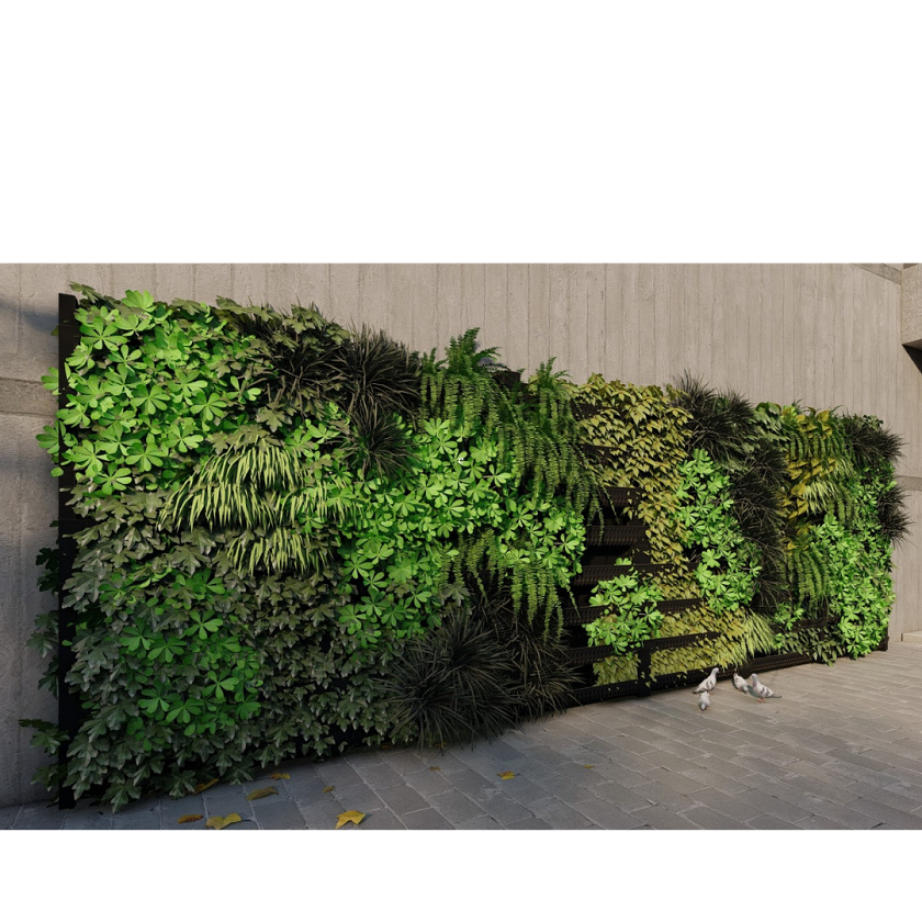 Fully Self?Watering Green Wall Units for Schools And Universities