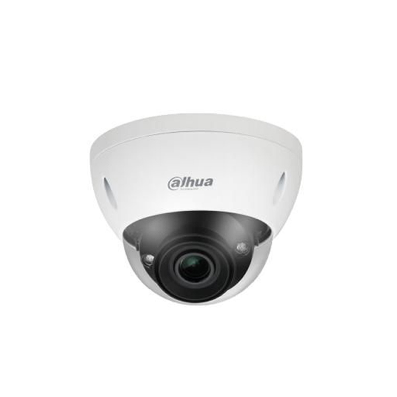 Dahua Pro IP Security Indoor/Outdoor Dome Camera