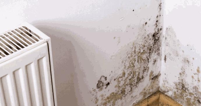 Cost Effective Heating Systems For Condensation Prone Homes