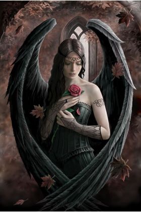 Suppliers of Anne Stokes Greeting Cards