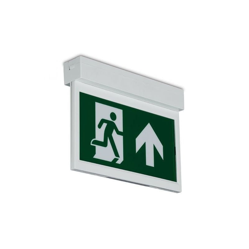 Collingwood Salvus Emergency Exit Blade Label Up