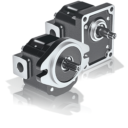 Manufacturers of Cast Iron Flanged Gear Pumps