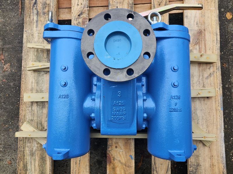 3&rdquo; Duplex Strainer Pump