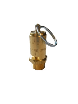 Safety Valve 10.3 Bar 1/4&#34; With Certificate & Ring