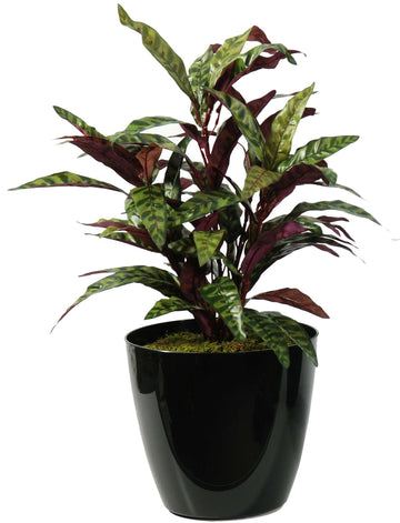 Artificial Plants Suppliers For TV Shows UK