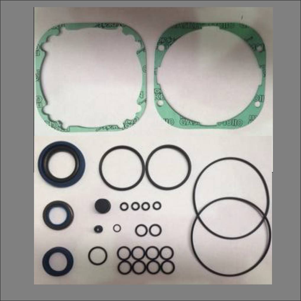 BFT ZZLUX96 & ZZLUX99 Seal & Gasket Kit For One LUX BT 24v Motor