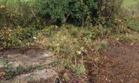 Garden Waste Clearance Services
