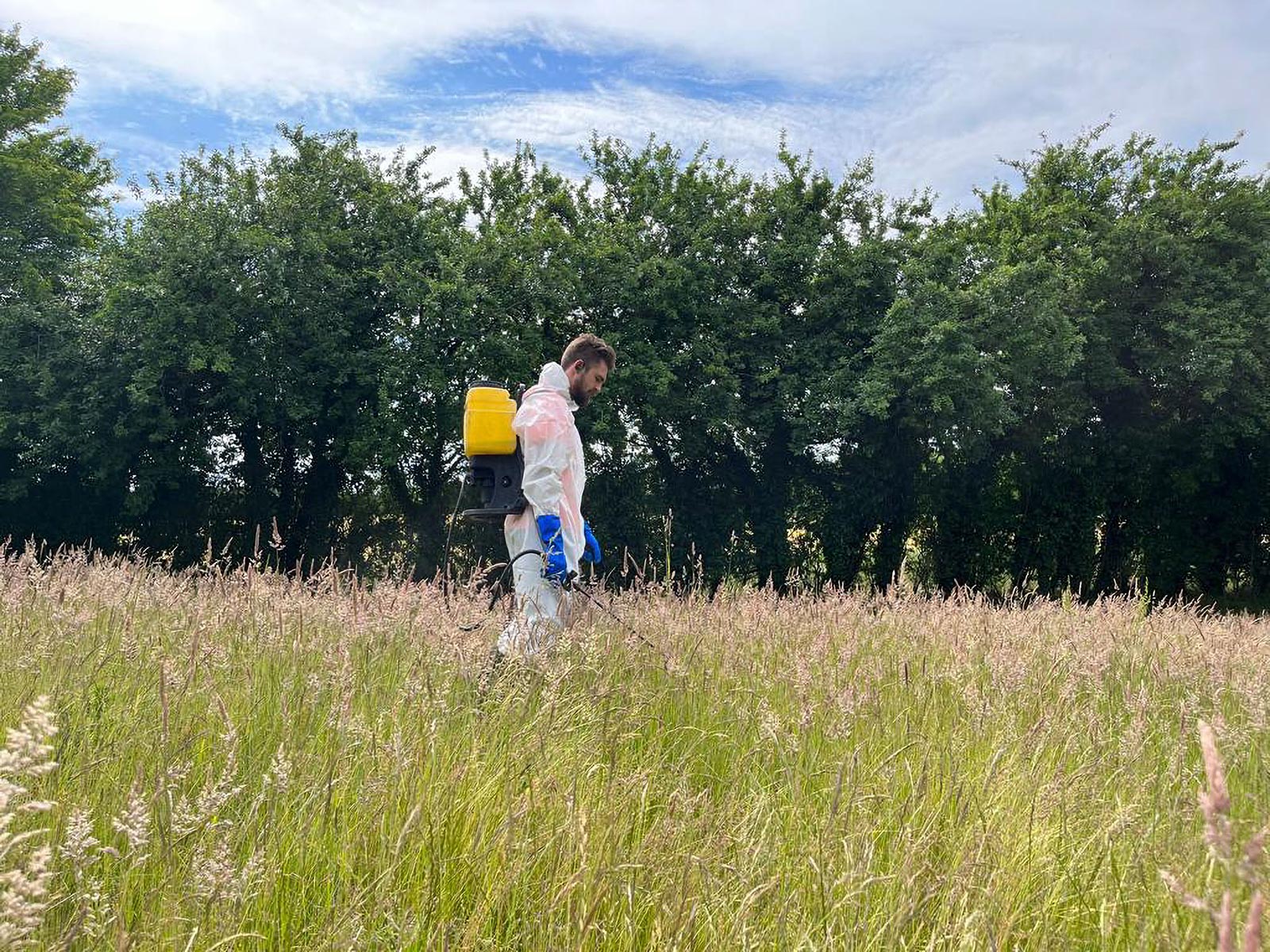 Weed Control Services Norwich