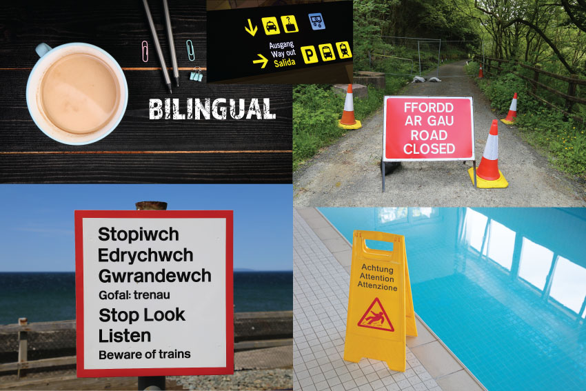 Why Do We Need Bilingual Signs?