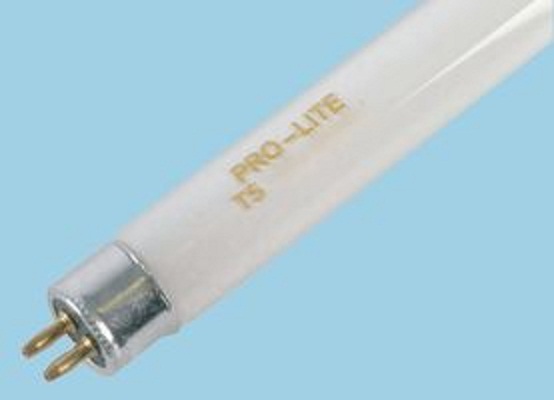 T5 Fluorescent Lamp 8W 300mm
[TB-CX8W Bulb]