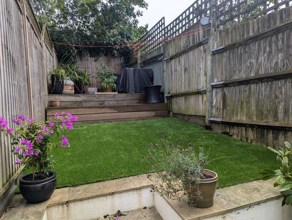 30mm Pet Lawn