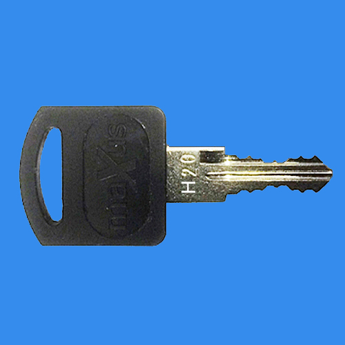 H01-H99 MAXUS Keys