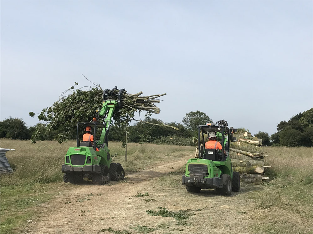 Forestry Clearance Services Poringland