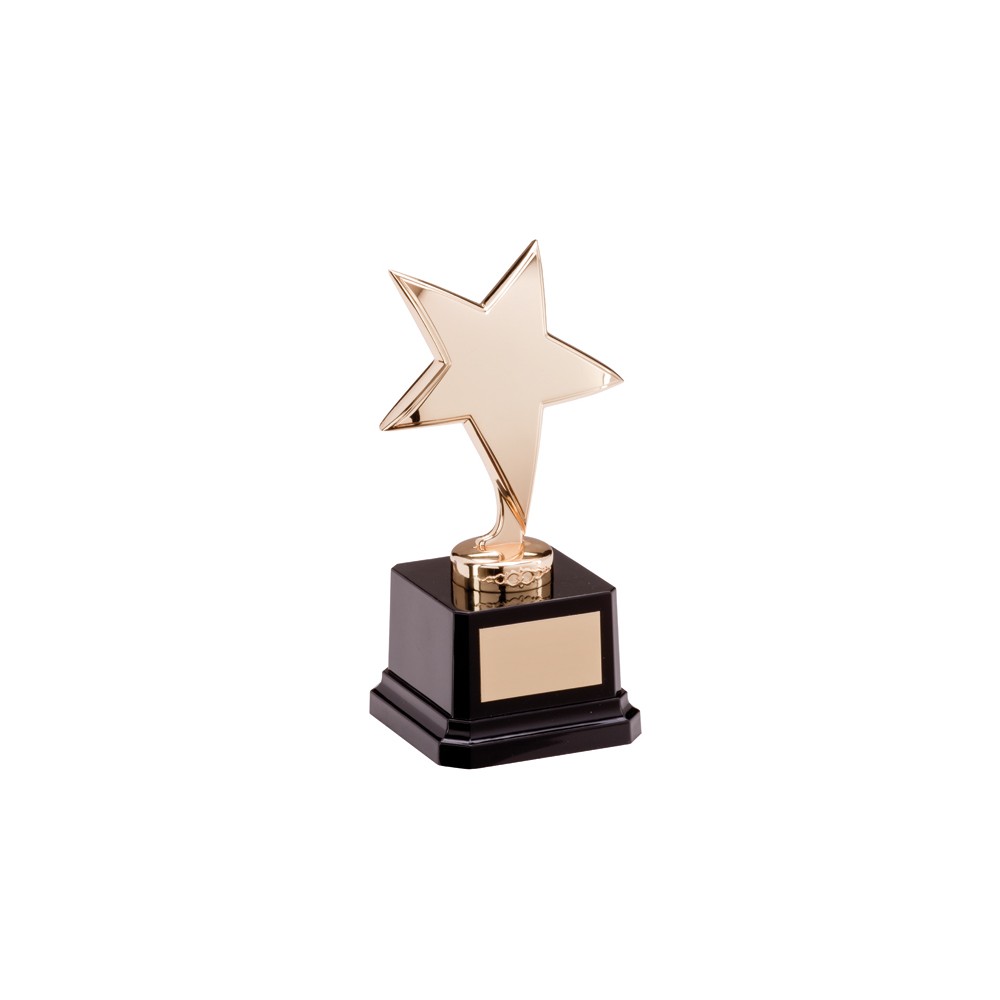 Suppliers Of Challenger Star Award - 2 colours / 2 sizes Hertfordshire