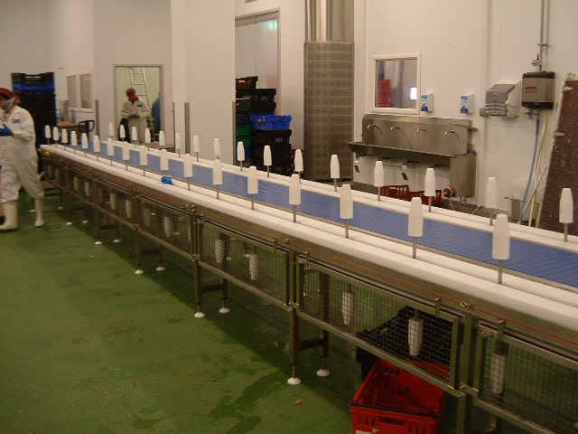 Suppliers of Cone De-Boning Conveyor UK