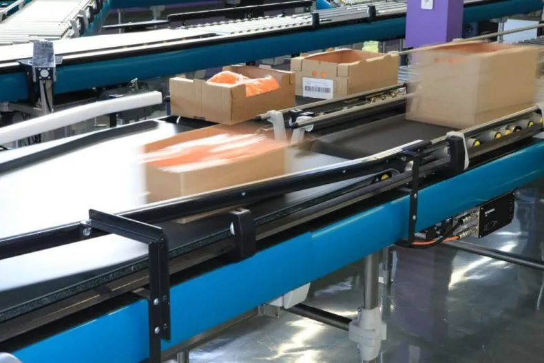 10 Intriguing Facts About Belt Conveyor Systems