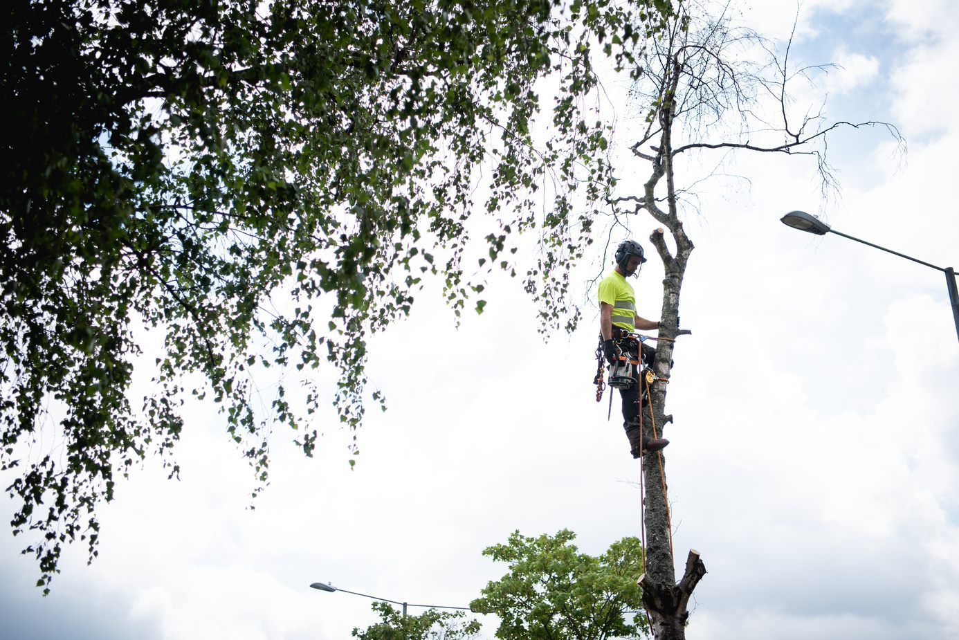 Providers of First Aid For Forestry Workers