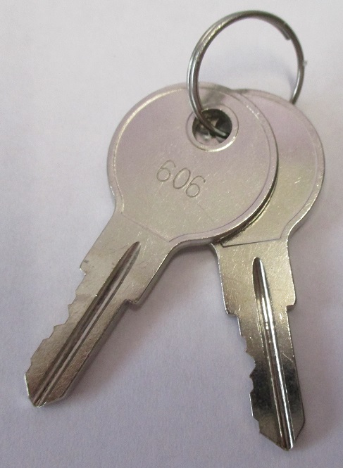 606 Keys (Pair) for 2 Position Key Switch
[606 Keys]
