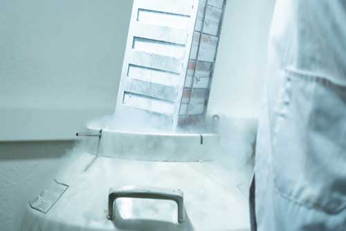 Ensuring Cryogenic Success: Safely Transporting Valuable Samples with Innovative Container Design