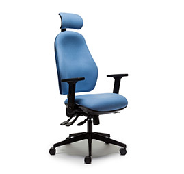 Office Chairs For Back Pain