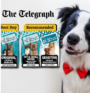 “Best dry dog food, 10 out of 10” – The Telegraph