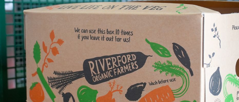 Five Benefits of a Reusable Cardboard Veg Box: Sustainable, Practical, and Cost-Effective