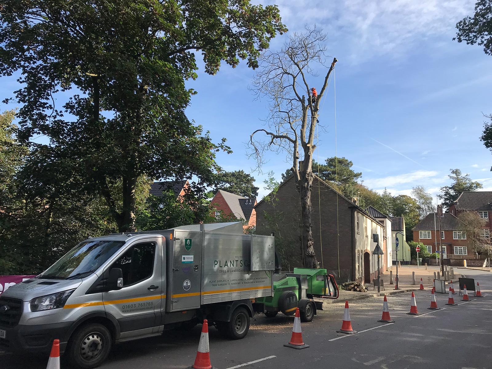 Emergency Tree Dismantling Cringleford