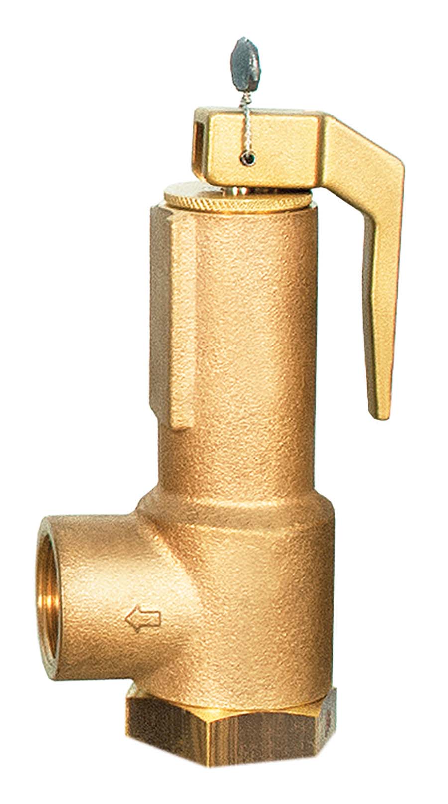SEETRU LGS&#8482; Bronze Safety Valves DN 20 mm