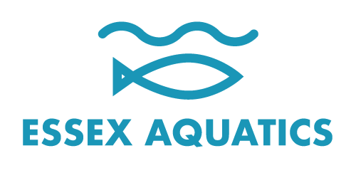 Essex Aquatics