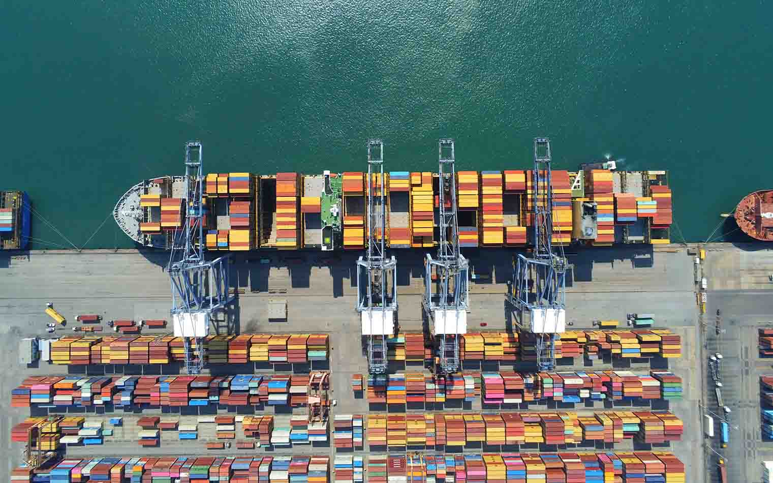 Affordable International Freight Forwarding Solutions For Growing Businesses