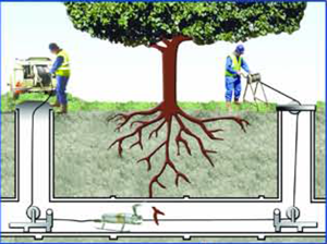 High Pressure Water Jetting For Tree Root Ingress