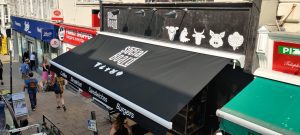 Made To Measure Outdoor Awnings For Homes