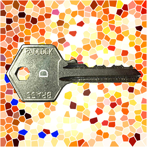ASEC Padlock Key D