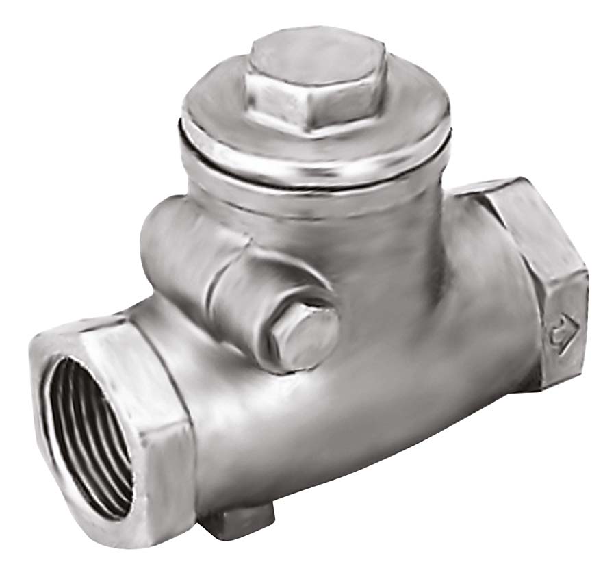 PARKAIR Swing Check Valve BSPP Female