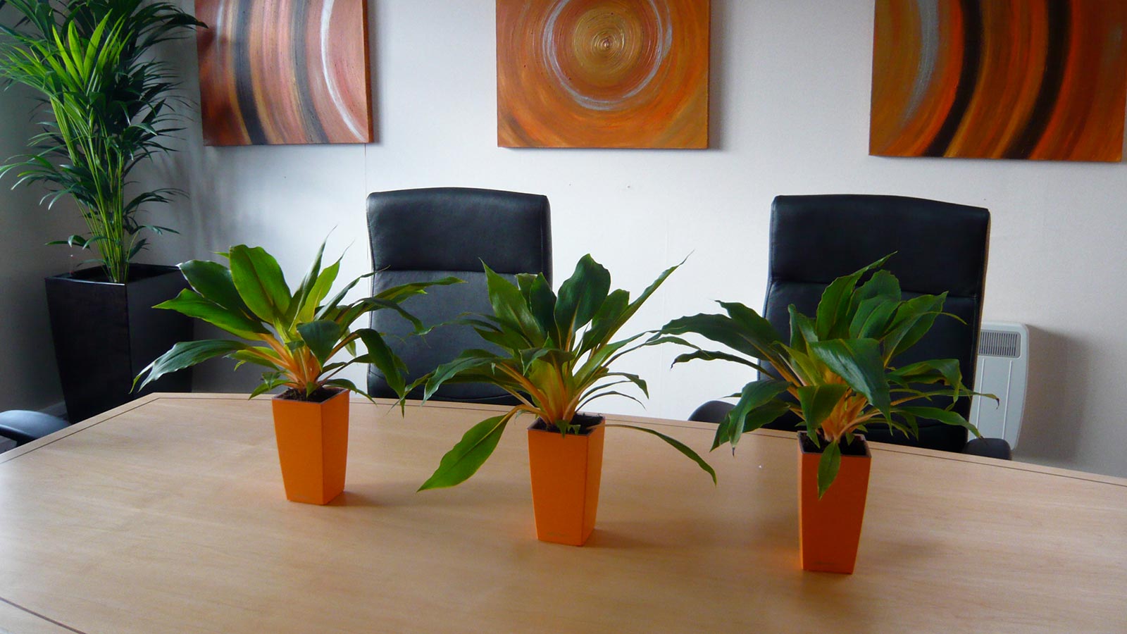 Artificial Interior Plant Displays Wymondham