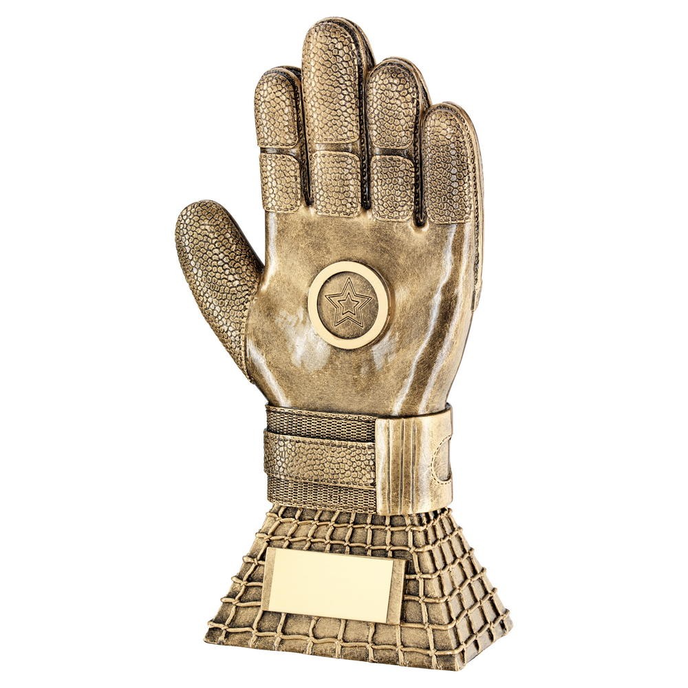 Suppliers Of Football Goalie Glove Trophy - 255mm Hertfordshire