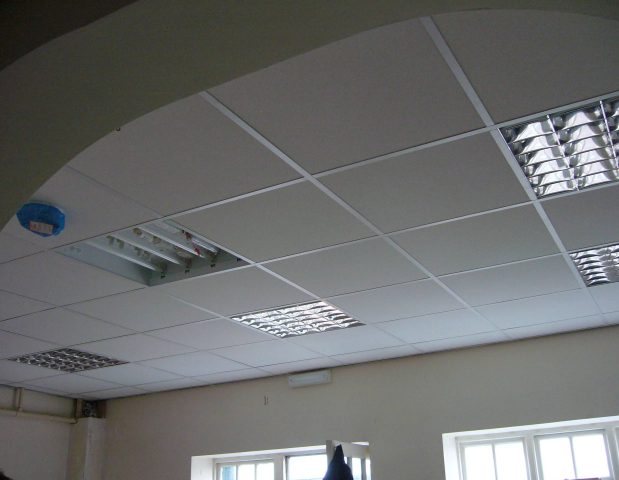 Installers of Suspended Ceilings for Offices