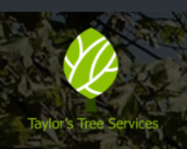 Taylor Tree Service Ltd