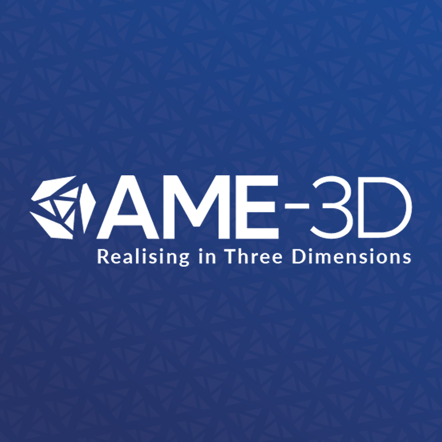 AME-3D
