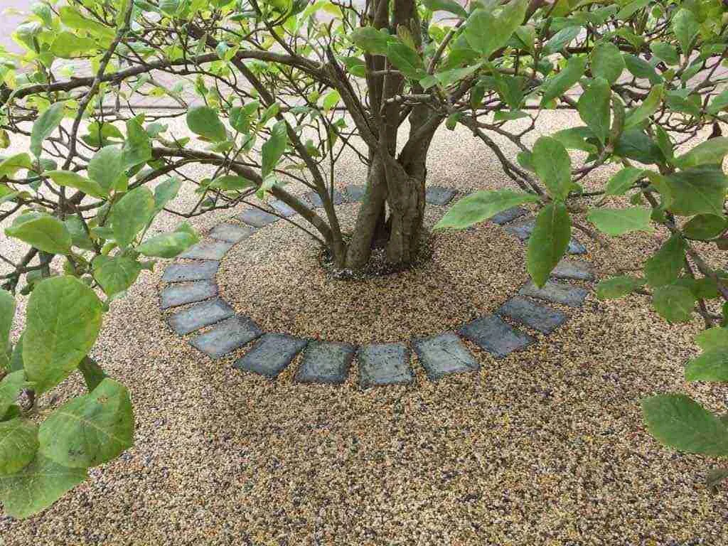 Surface Treatment For Tree Bases UK