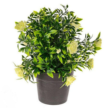 Artificial Plants Suppliers For Rental Properties UK