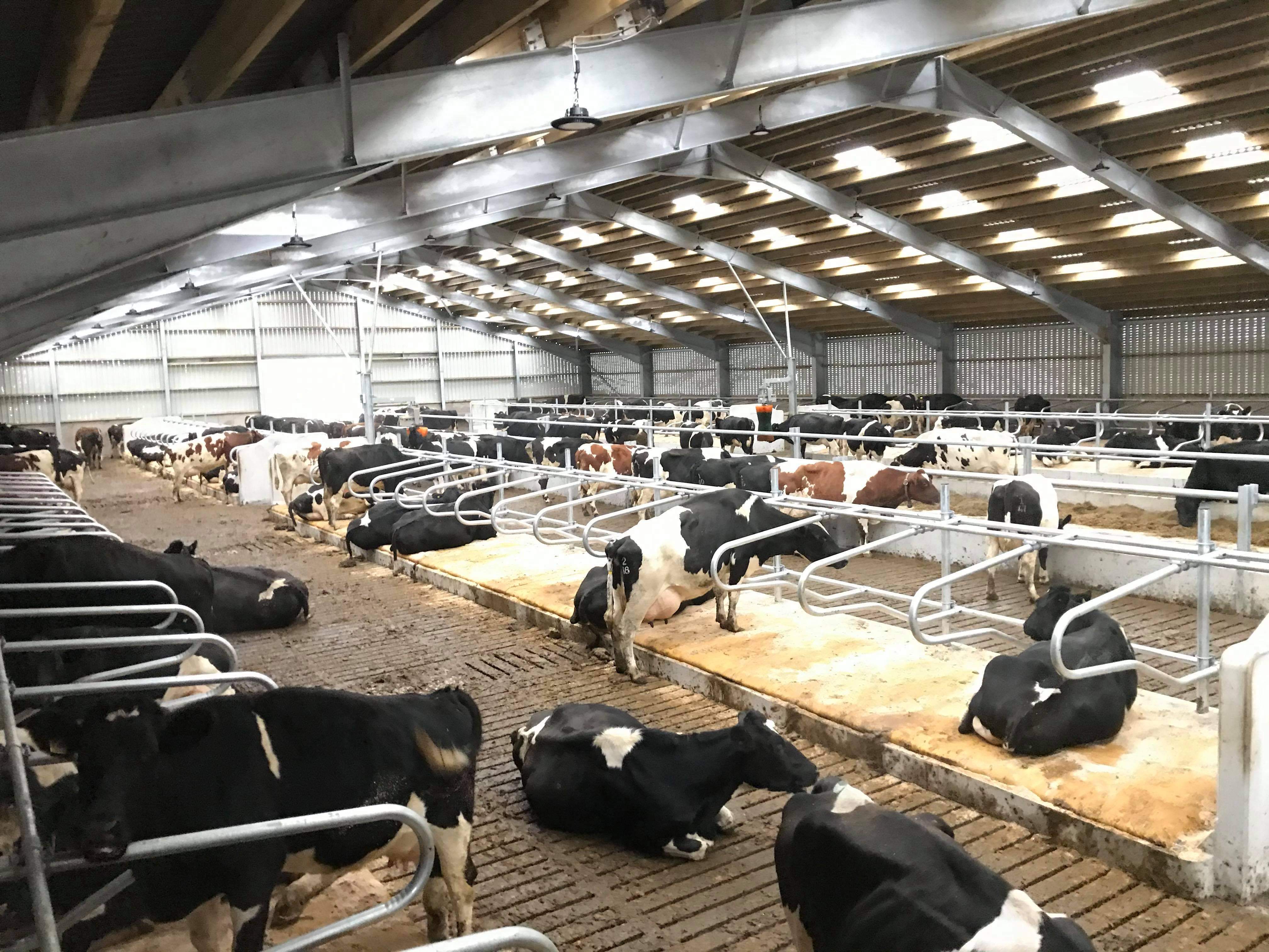 Head To Head Cubicle Beds