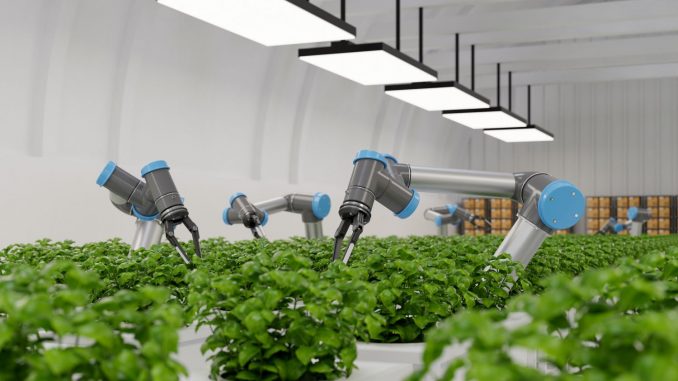 How to optimize crop yield with fully automated vertical farming