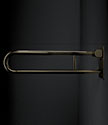 Brass Removable Hinged Grab Bar (154BR)