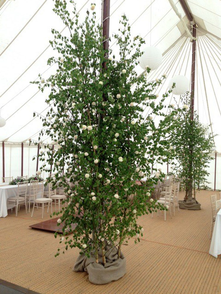 Plant Hire For Events Norfolk